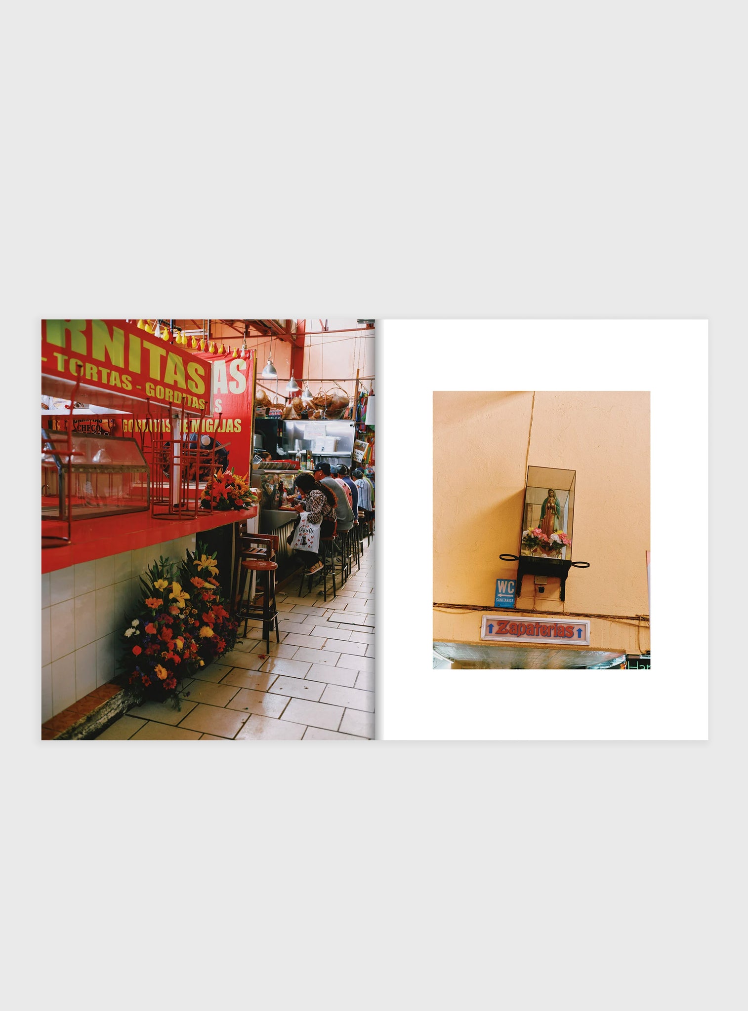 EL BAJÍO: Recipes & Wanderings Through Mexico’s Heartland