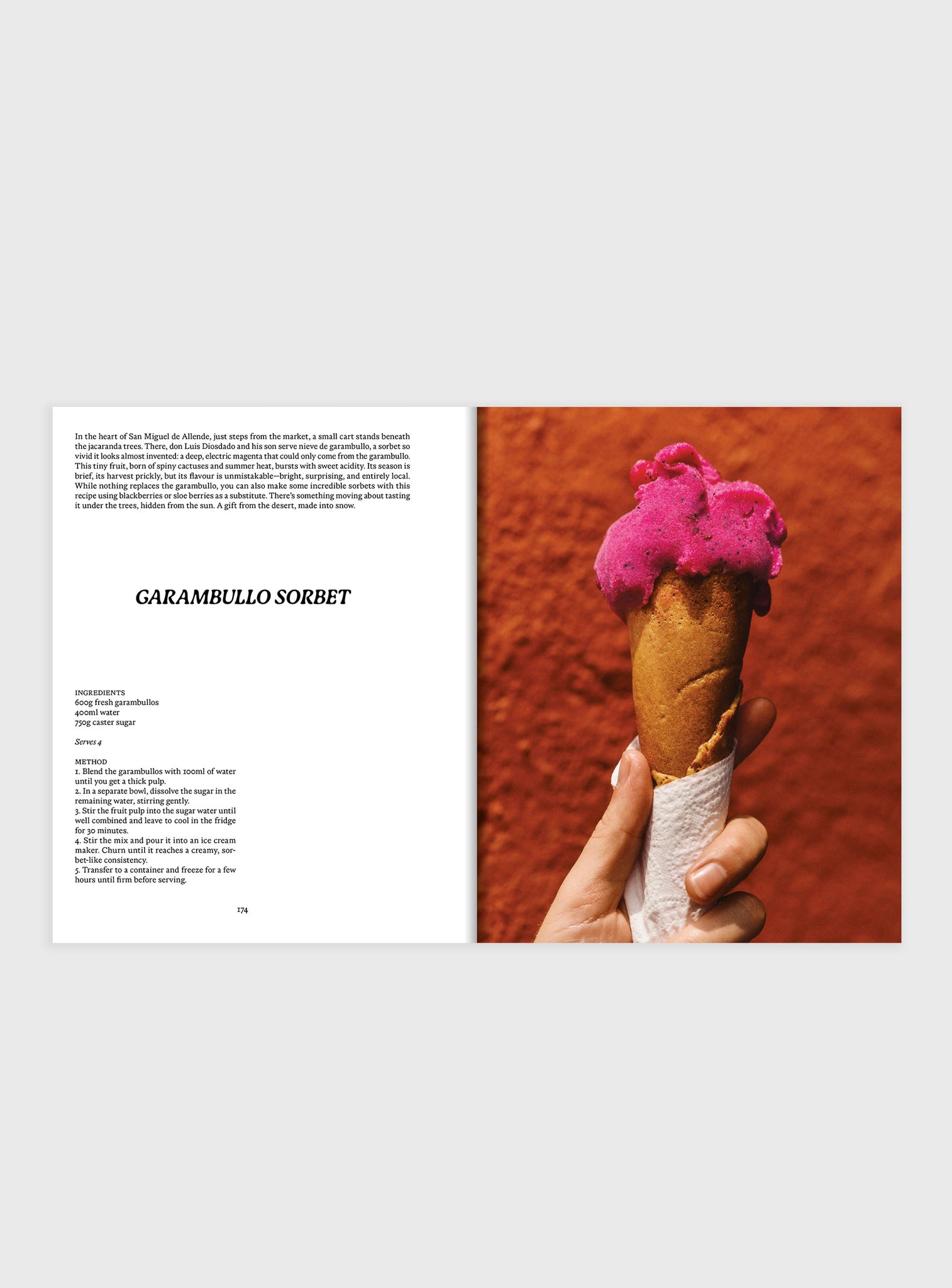 EL BAJÍO: Recipes & Wanderings Through Mexico’s Heartland