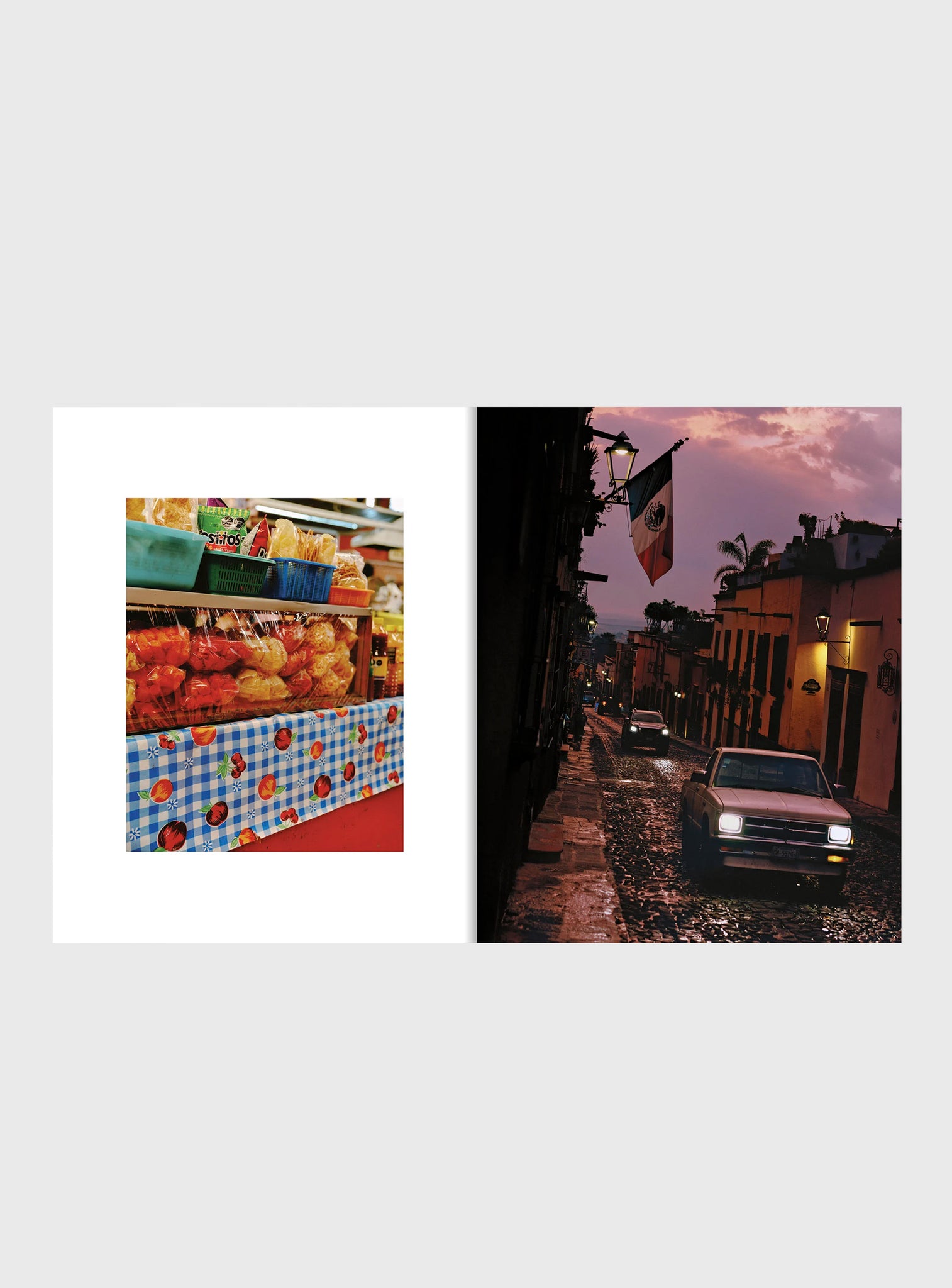 EL BAJÍO: Recipes & Wanderings Through Mexico’s Heartland