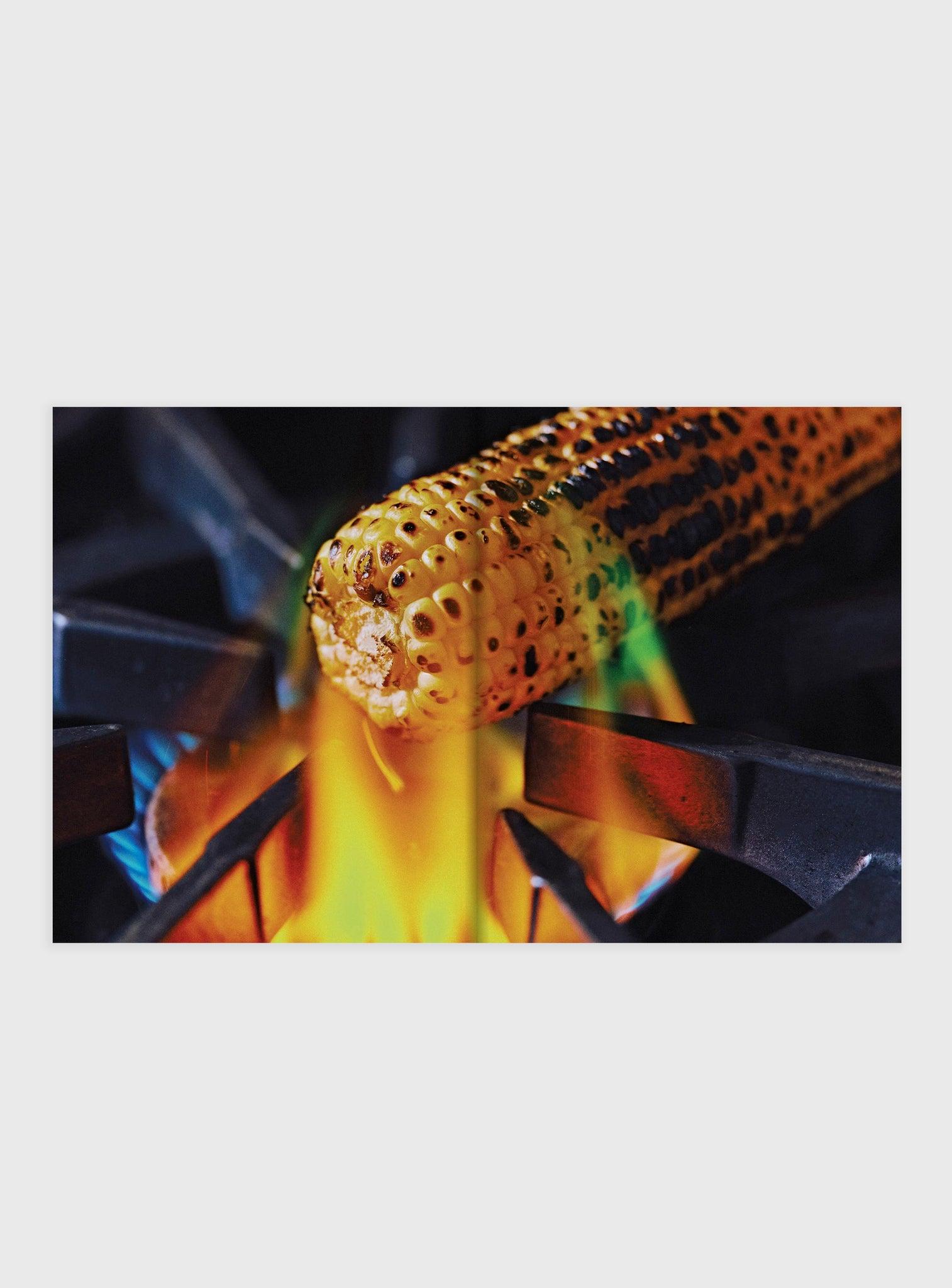 EL BAJÍO: Recipes & Wanderings Through Mexico’s Heartland