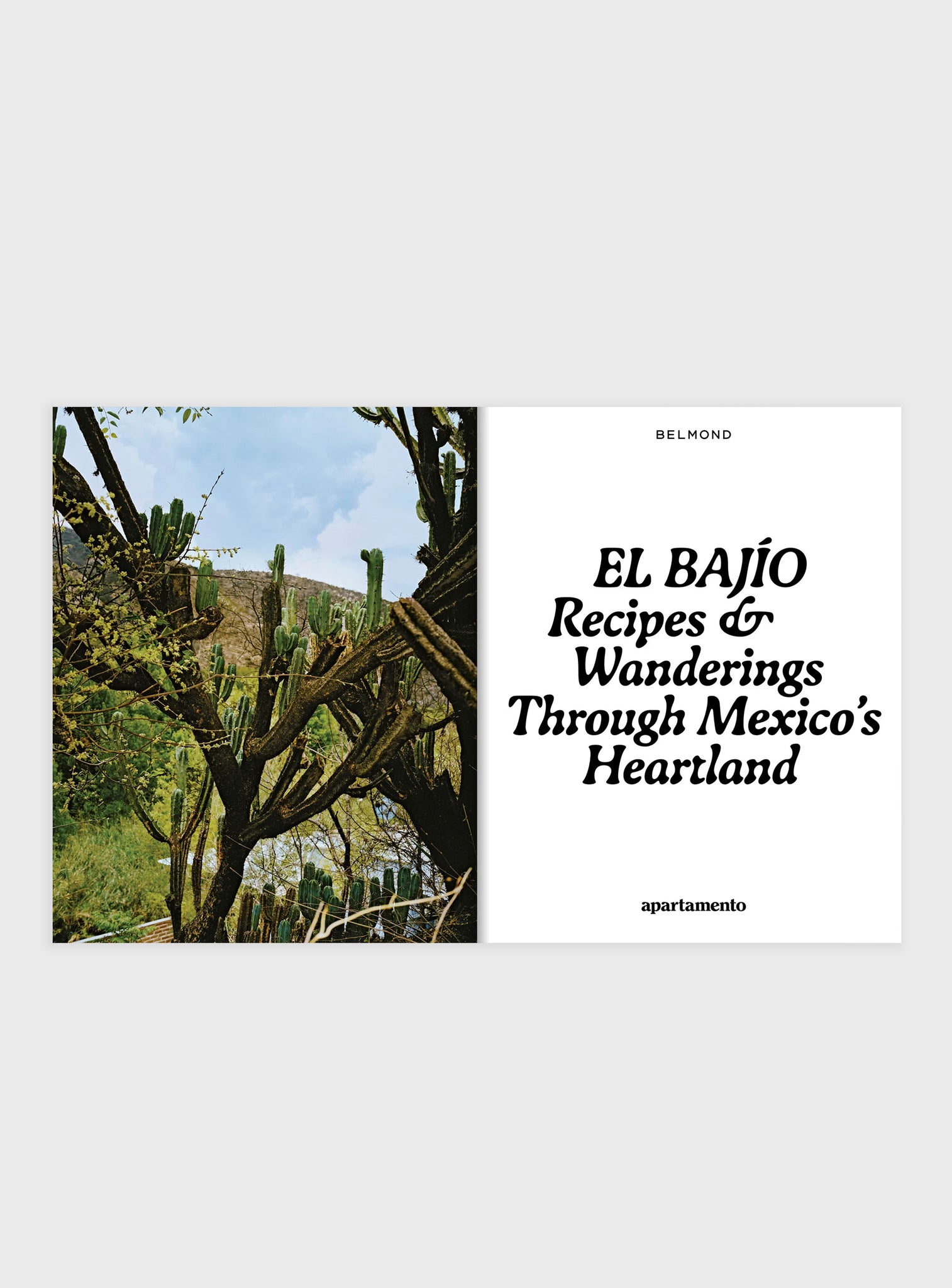 EL BAJÍO: Recipes & Wanderings Through Mexico’s Heartland