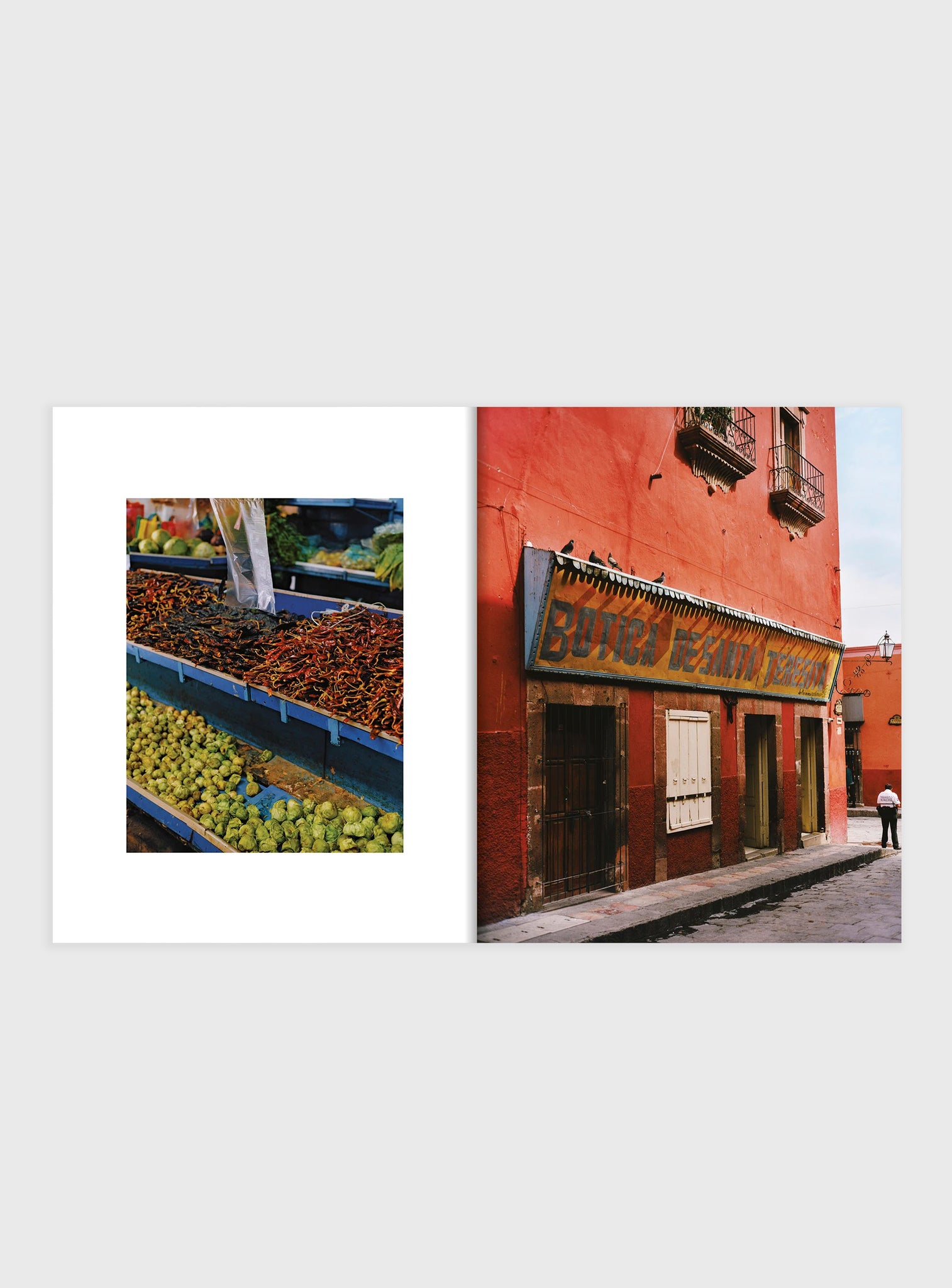 EL BAJÍO: Recipes & Wanderings Through Mexico’s Heartland