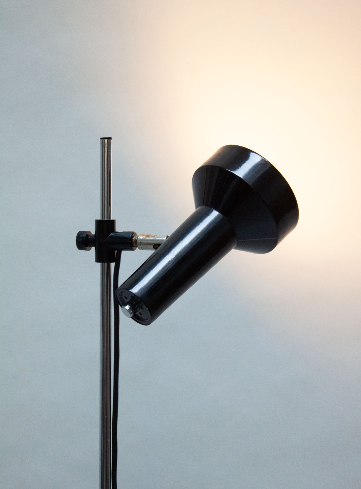 Herda Floor Lamp (Black)