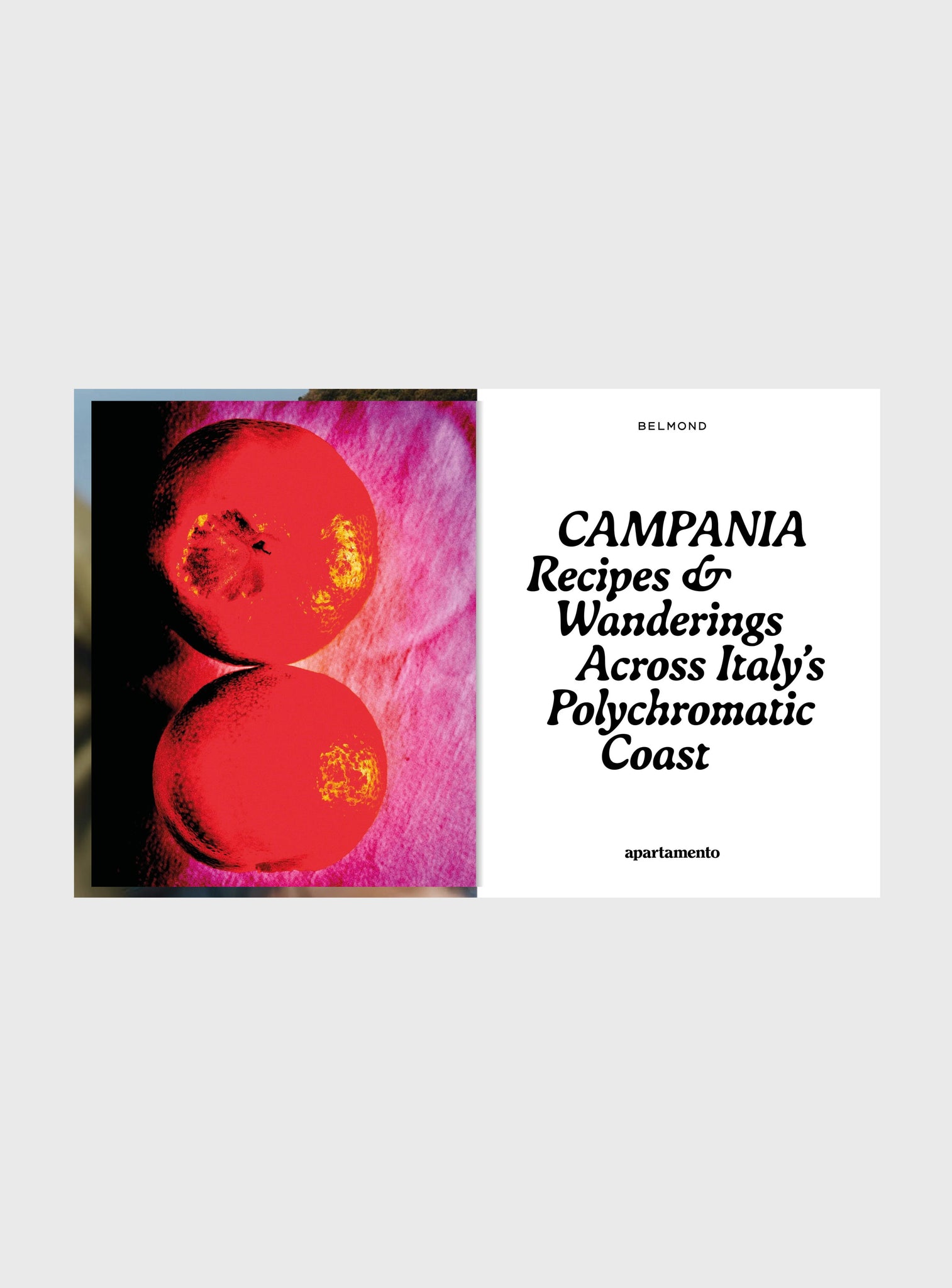 CAMPANIA: Recipes & Wanderings Across Italy's Polychromatic Coast