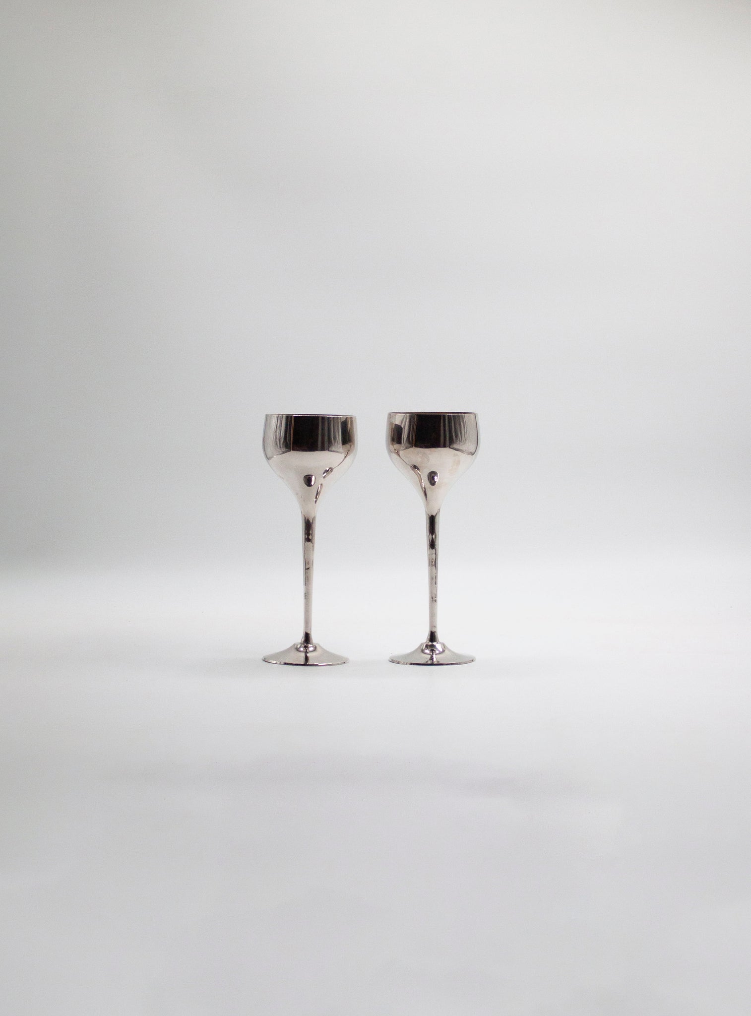 Stainless Steel Goblets (Set of 2)